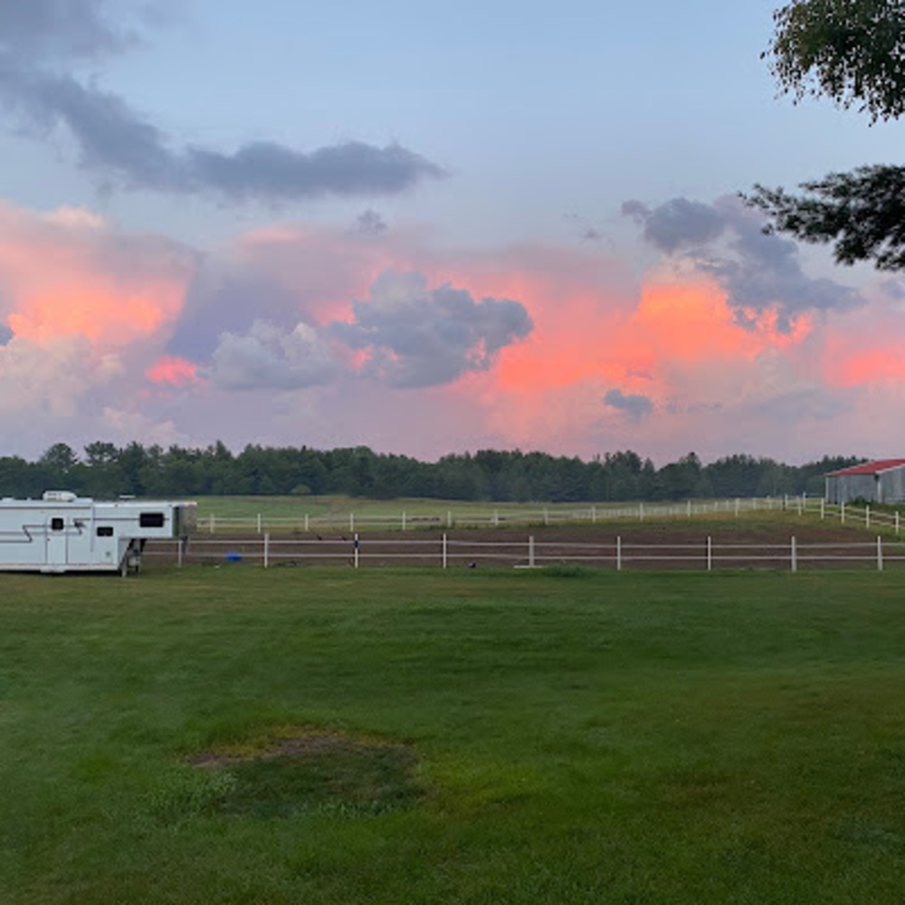 Meet your Posher, Pearl